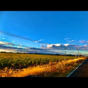 Meet your Posher, Jesus